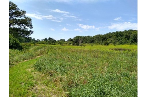 40 ACRES Esch Road, Dodgeville, WI 53533