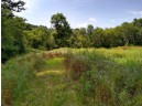 40 ACRES Esch Road, Dodgeville, WI 53533