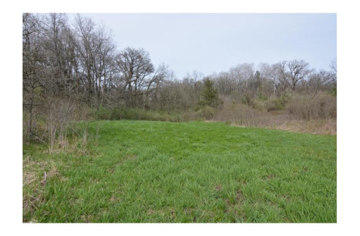 40 ACRES Esch Road, Dodgeville, WI 53533