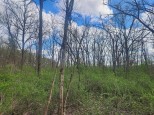 LOT 1 Elizabeth Street Muscoda, WI 53573