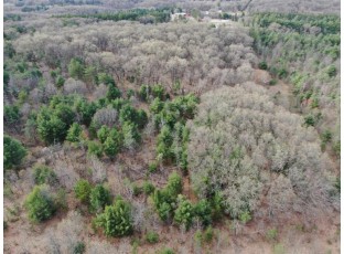 36 AC County Road P Wild Rose, WI 54984