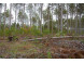 LOT 7 Bollig Court Nekoosa, WI 54457