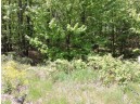 4781 Turkey Trail LOT #19 WOODLAND HEI, Amherst, WI 54406