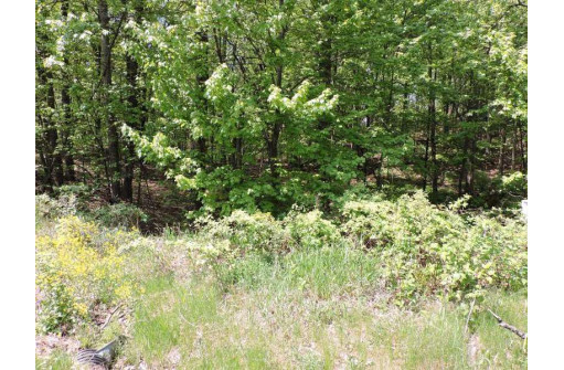 4781 Turkey Trail LOT #19 WOODLAND HEI, Amherst, WI 54406