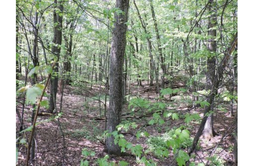 4781 Turkey Trail LOT #19 WOODLAND HEI, Amherst, WI 54406