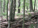 4781 Turkey Trail LOT #19 WOODLAND HEI, Amherst, WI 54406