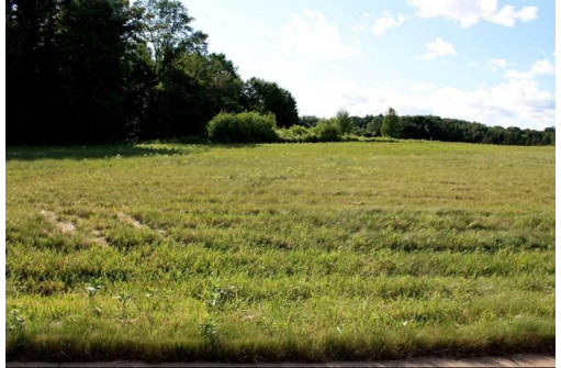 1601 Green Vistas Drive LOT 20, Wausau, WI 54403