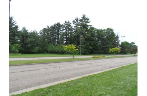 LOT # 1 Apple Street, Wisconsin Rapids, WI 54494