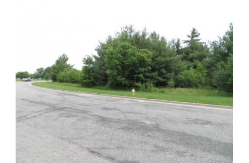 LOT # 1 Apple Street, Wisconsin Rapids, WI 54494