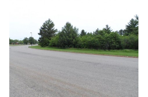 LOT # 1 Apple Street, Wisconsin Rapids, WI 54494