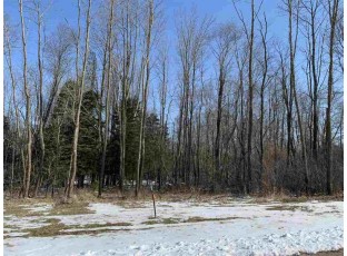 LOT 6 Nicholas Avenue Wittenberg, WI 54499