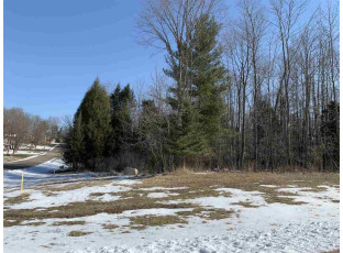 LOT 7 Nicholas Avenue Wittenberg, WI 54499