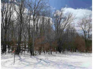 LOT 13 Jason Street Wittenberg, WI 54499