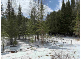 LOT 21 Keegan Court Wittenberg, WI 54499