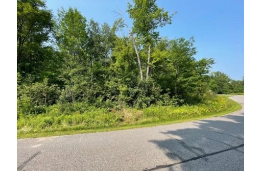 LOT 16 Wood Duck Lane, Merrill, WI 54452