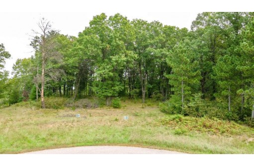 6862 Bayshore Trail LOT 10 BAYSHORE TRAI, Wisconsin Rapids, WI 54494