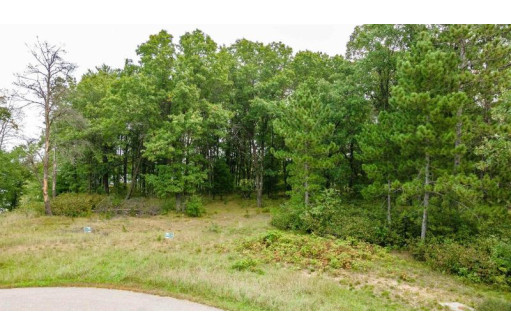 6862 Bayshore Trail LOT 10 BAYSHORE TRAI, Wisconsin Rapids, WI 54494