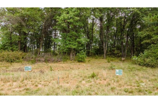 6862 Bayshore Trail LOT 10 BAYSHORE TRAI, Wisconsin Rapids, WI 54494