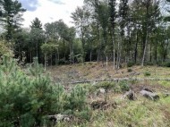 8.382 ACRES Townline Road LOT 12 OF WCCSM 1096