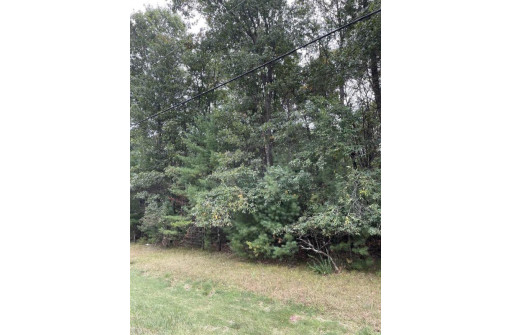 8.382 ACRES Townline Road LOT 12 OF WCCSM 1096, Wisconsin Rapids, WI 54494