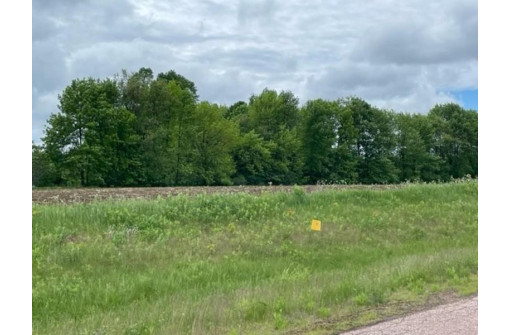 LOT 18 Silver Hill Lane, Wausau, WI 54401