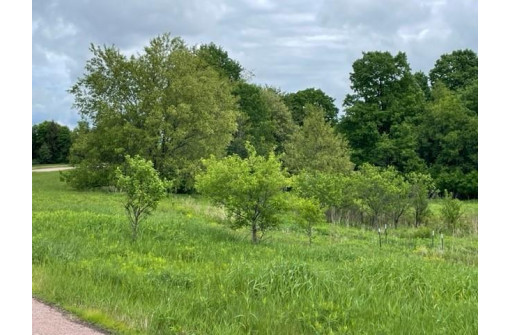 LOT 17 Silver Hill Lane, Wausau, WI 54401