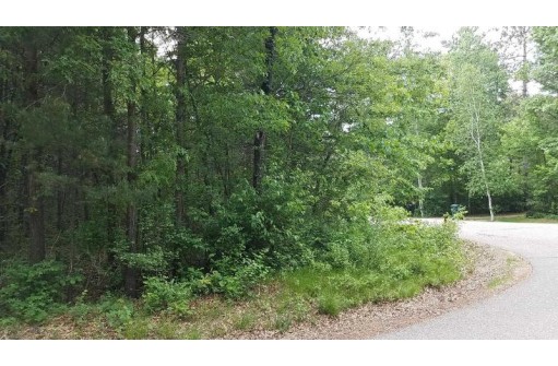 LOT #9 Center Road, Merrill, WI 54452