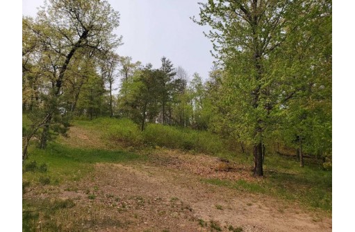 1181 Brown Bear Trail, Nekoosa, WI 54457