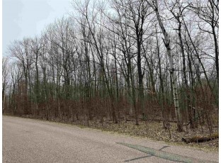 1 Abt Road Ringle, WI 54471