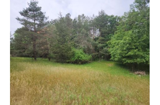 LOT 2 Crestview Lane, Nekoosa, WI 54457