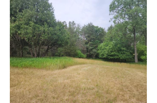 LOT 2 Crestview Lane, Nekoosa, WI 54457