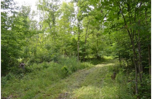 0 County Road Q, Redgranite, WI 54970