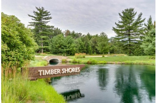 LOT 24 Timber Shores, Arkdale, WI 54613