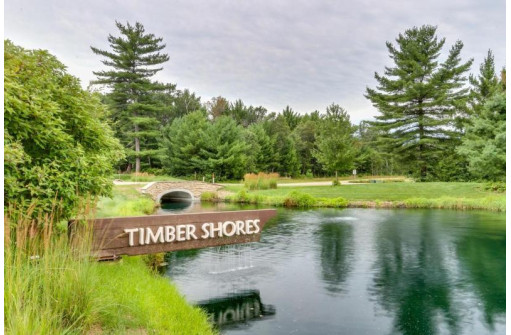 LOT 25 Timber Shores, Arkdale, WI 54613