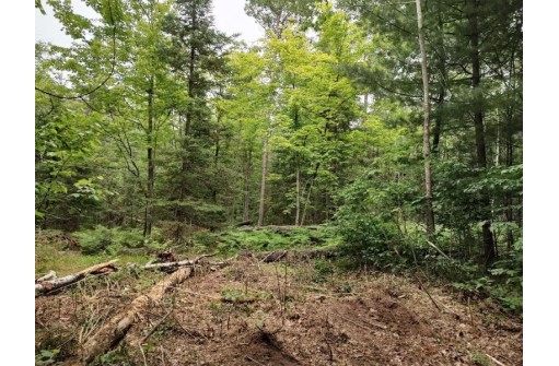 LOT 3 Misty River Lane, Rhinelander, WI 54501