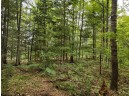 LOT 3 Misty River Lane, Rhinelander, WI 54501