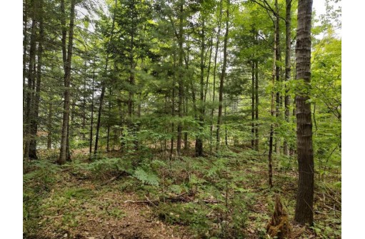 LOT 3 Misty River Lane, Rhinelander, WI 54501