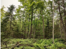 LOT 3 Misty River Lane, Rhinelander, WI 54501