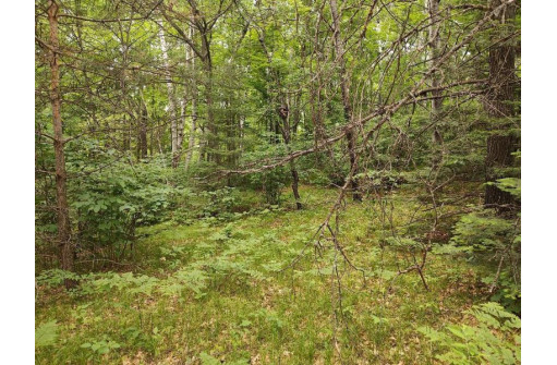 LOT 3 Misty River Lane, Rhinelander, WI 54501