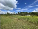 160 ACRES North Star Drive, Merrill, WI 54452