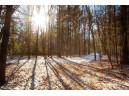 LOT 6 Natures Way PARCEL # 1801672, Wisconsin Rapids, WI 54494