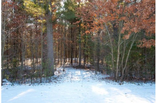 LOT 6 Natures Way PARCEL # 1801672, Wisconsin Rapids, WI 54494