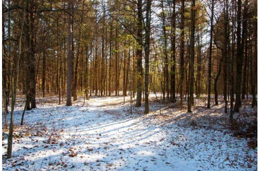 LOT 6 Natures Way PARCEL # 1801672, Wisconsin Rapids, WI 54494