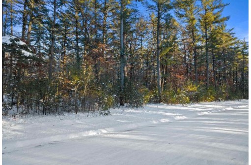 LOT 132 Timber Shores, Arkdale, WI 54613