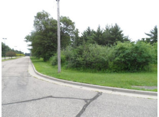 LOT #1 Apple Street Wisconsin Rapids, WI 54494