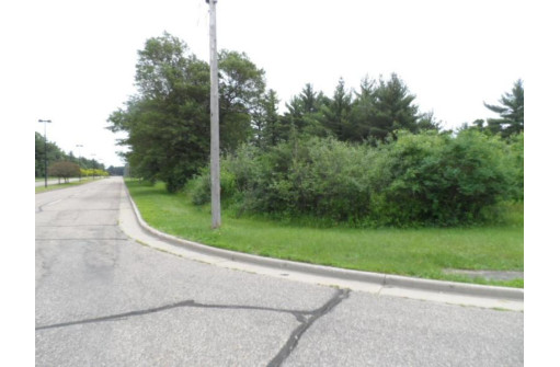 LOT #1 Apple Street, Wisconsin Rapids, WI 54494