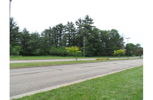 LOT #1 Apple Street, Wisconsin Rapids, WI 54494