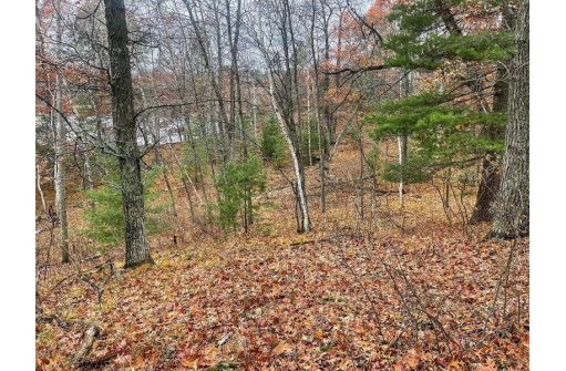 Deer Trail Road, Tomahawk, WI 54487