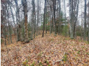 Deer Trail Road, Tomahawk, WI 54487