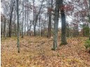 Deer Trail Road, Tomahawk, WI 54487